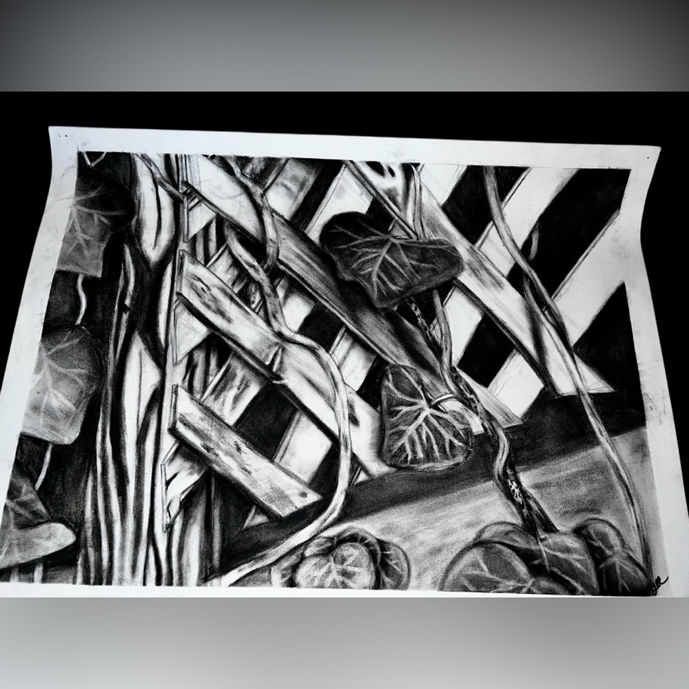 Original 18x24” charcoal drawing signed artist Ivy Vines on Garden Trellis Art